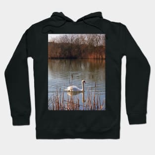 Swan on a Lake Hoodie